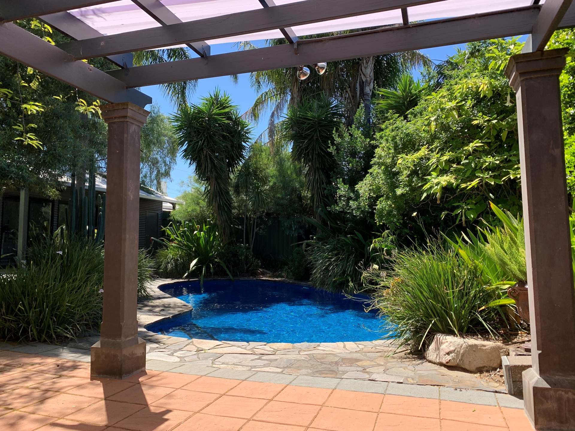 Pool Clean Norwood